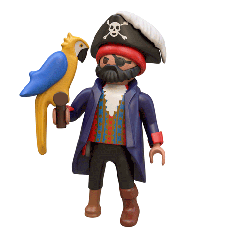 Animated Pirate